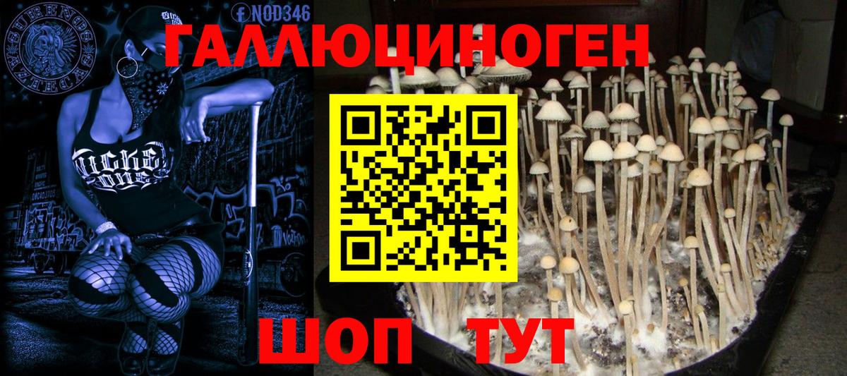 Шали  Псилоцибиновые грибы Magic Shrooms  Псилоцибиновые грибы Psilocybine cubensis  Вход с VPN 
